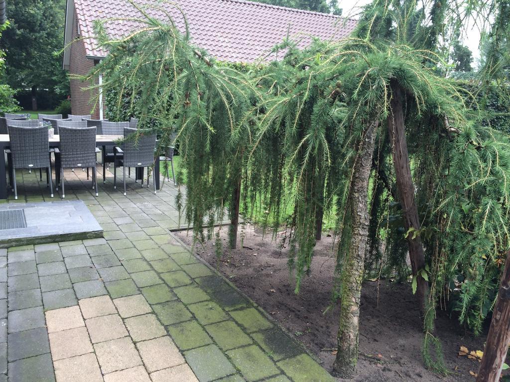 Vakantieboerderij De Pionier Bed & Breakfast Ysselsteyn Ngoại thất bức ảnh